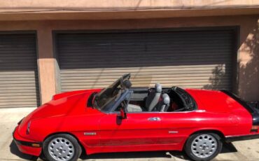 Alfa-romeo-Quadrifoglio-1989-8
