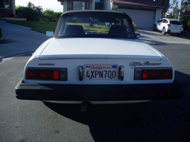 Alfa-romeo-Spider-1977-White-Black-4