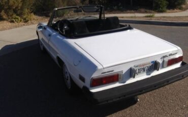 Alfa-romeo-Spider-1977-White-Black-7