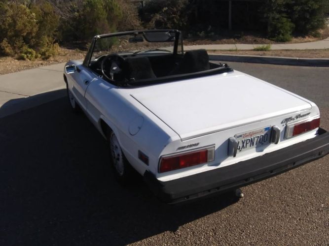 Alfa-romeo-Spider-1977-White-Black-7