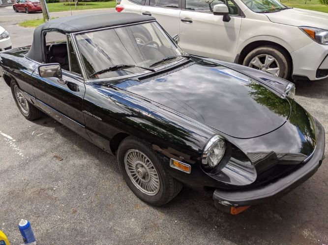 Alfa-romeo-Spider-1981-Black-Black-2