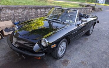 Alfa-romeo-Spider-1981-Black-Black