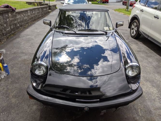 Alfa-romeo-Spider-1981-Black-Black-7