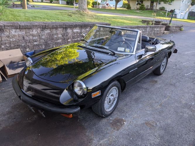 Alfa-romeo-Spider-1981-Black-Black