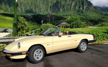 Alfa-romeo-Spider-1988-1