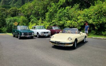 Alfa-romeo-Spider-1988-10