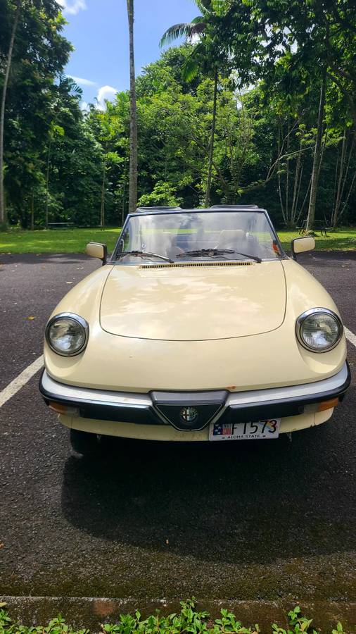 Alfa-romeo-Spider-1988-3