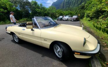 Alfa-romeo-Spider-1988-9