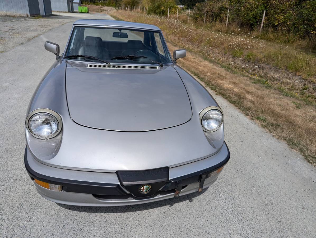 Alfa-romeo-quadrifoglio-series-3-1989-silver-2