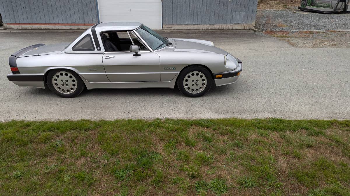 Alfa-romeo-quadrifoglio-series-3-1989-silver-5