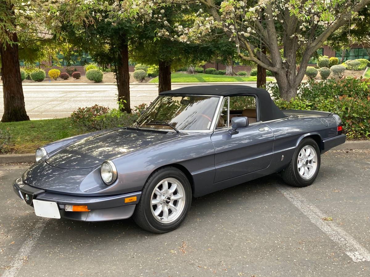 Alfa-romeo-spyder-veloce-1983-custom