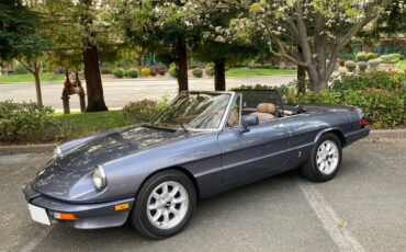 Alfa-romeo-spyder-veloce-1983-custom-5