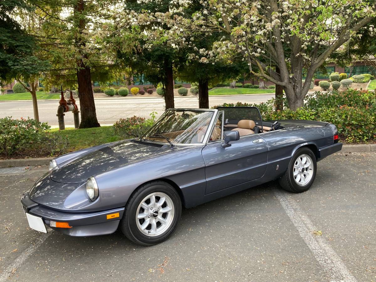 Alfa-romeo-spyder-veloce-1983-custom-5