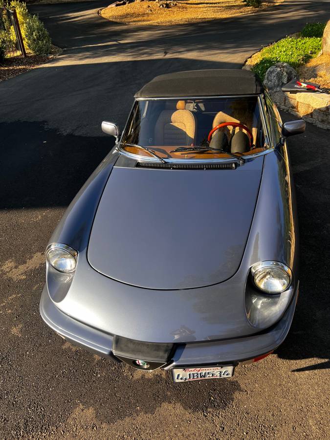 Alfa-romeo-spyder-veloce-1983-custom-6