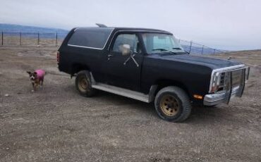 Amc-Harger-1965-Black-9