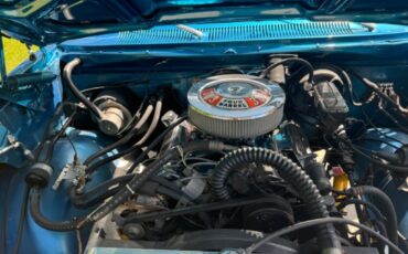 Amc-Harger-1977-Blue-Tan-39
