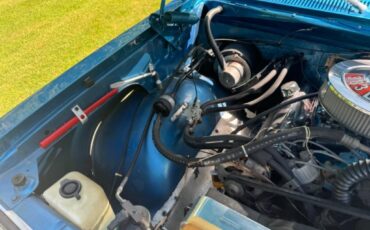 Amc-Harger-1977-Blue-Tan-41
