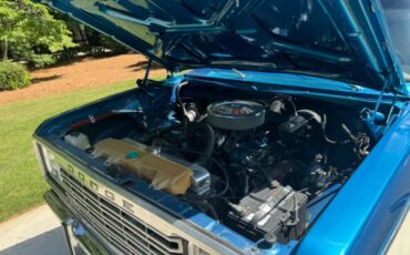 Amc-Harger-1977-Blue-Tan-42