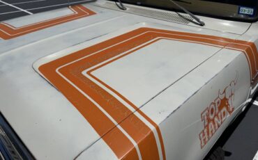 Amc-Harger-1978-custom-10