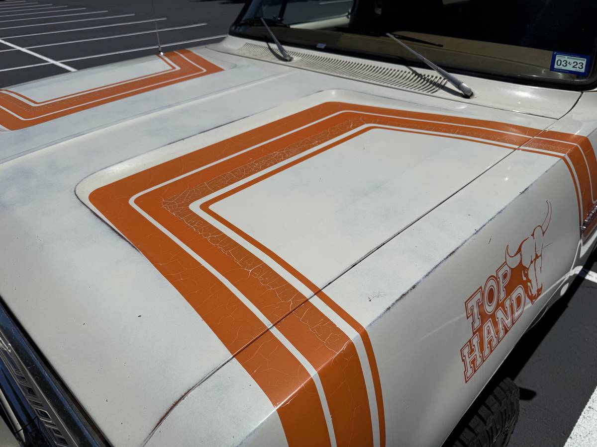 Amc-Harger-1978-custom-10