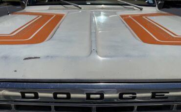 Amc-Harger-1978-custom-11