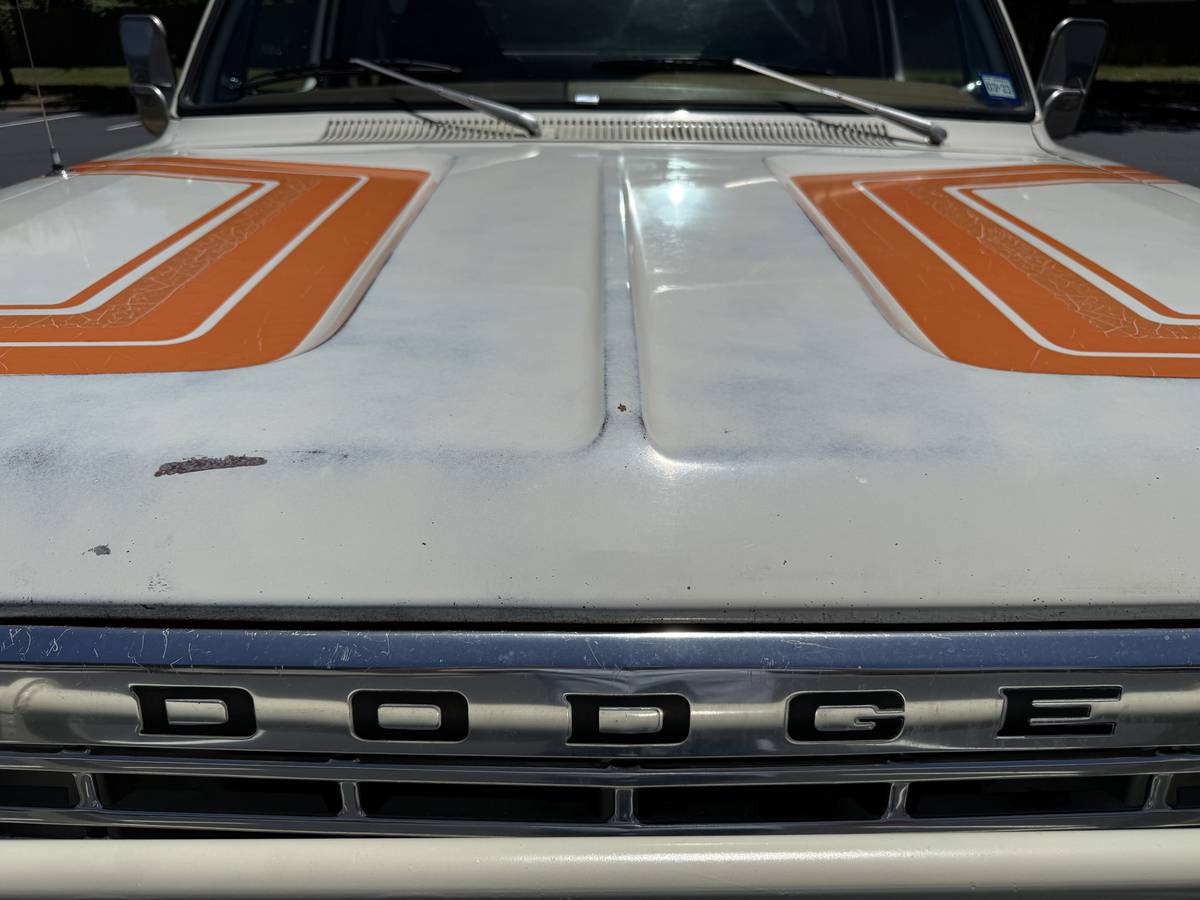 Amc-Harger-1978-custom-11