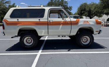 Amc-Harger-1978-custom-4