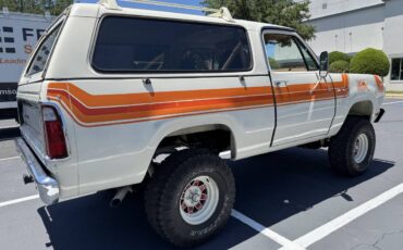 Amc-Harger-1978-custom-5
