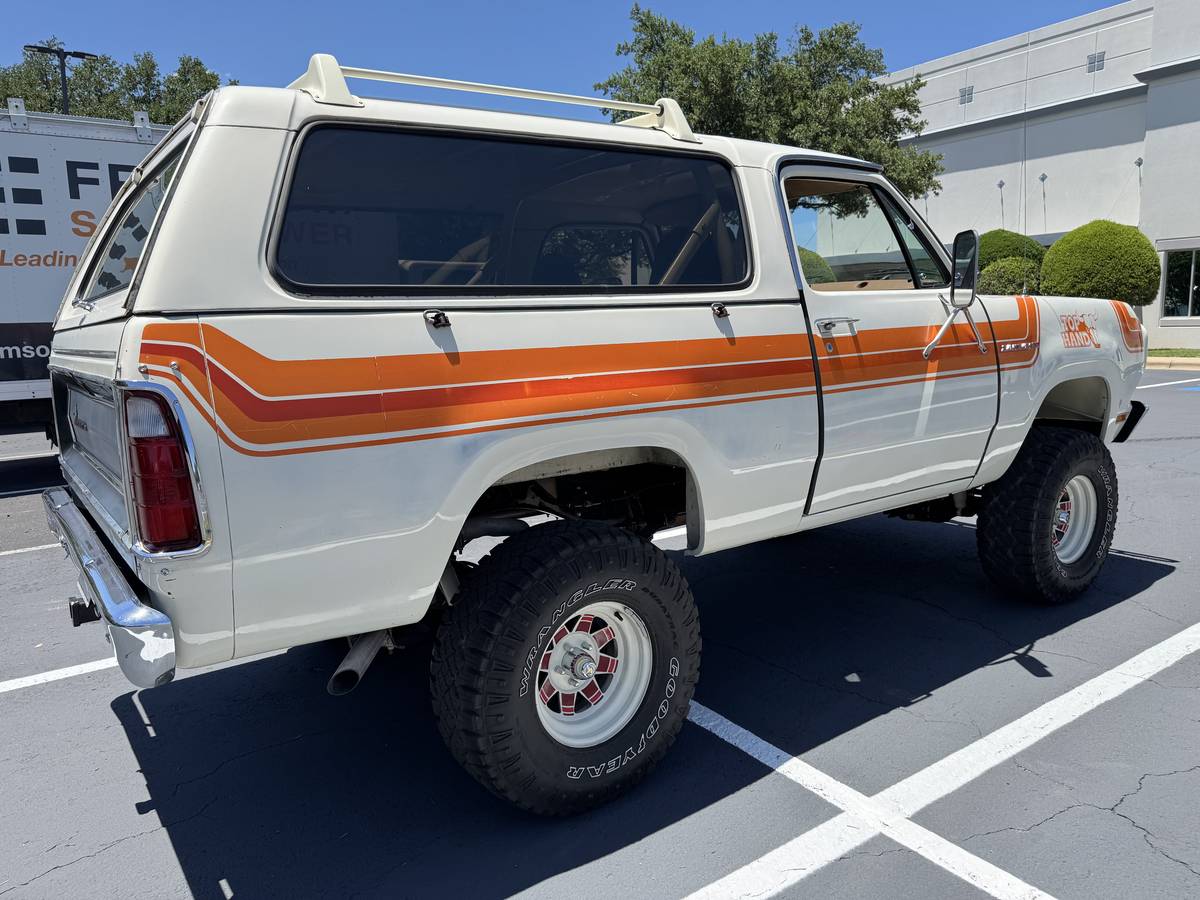 Amc-Harger-1978-custom-5