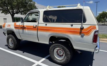 Amc-Harger-1978-custom-8