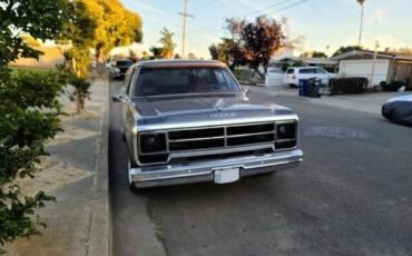Amc-Harger-1985-Gray-15