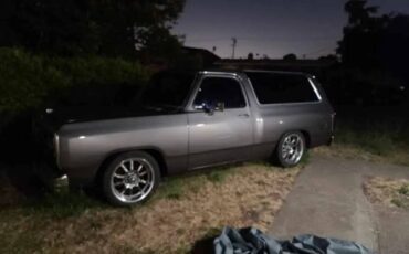 Amc-Harger-1985-Gray-4