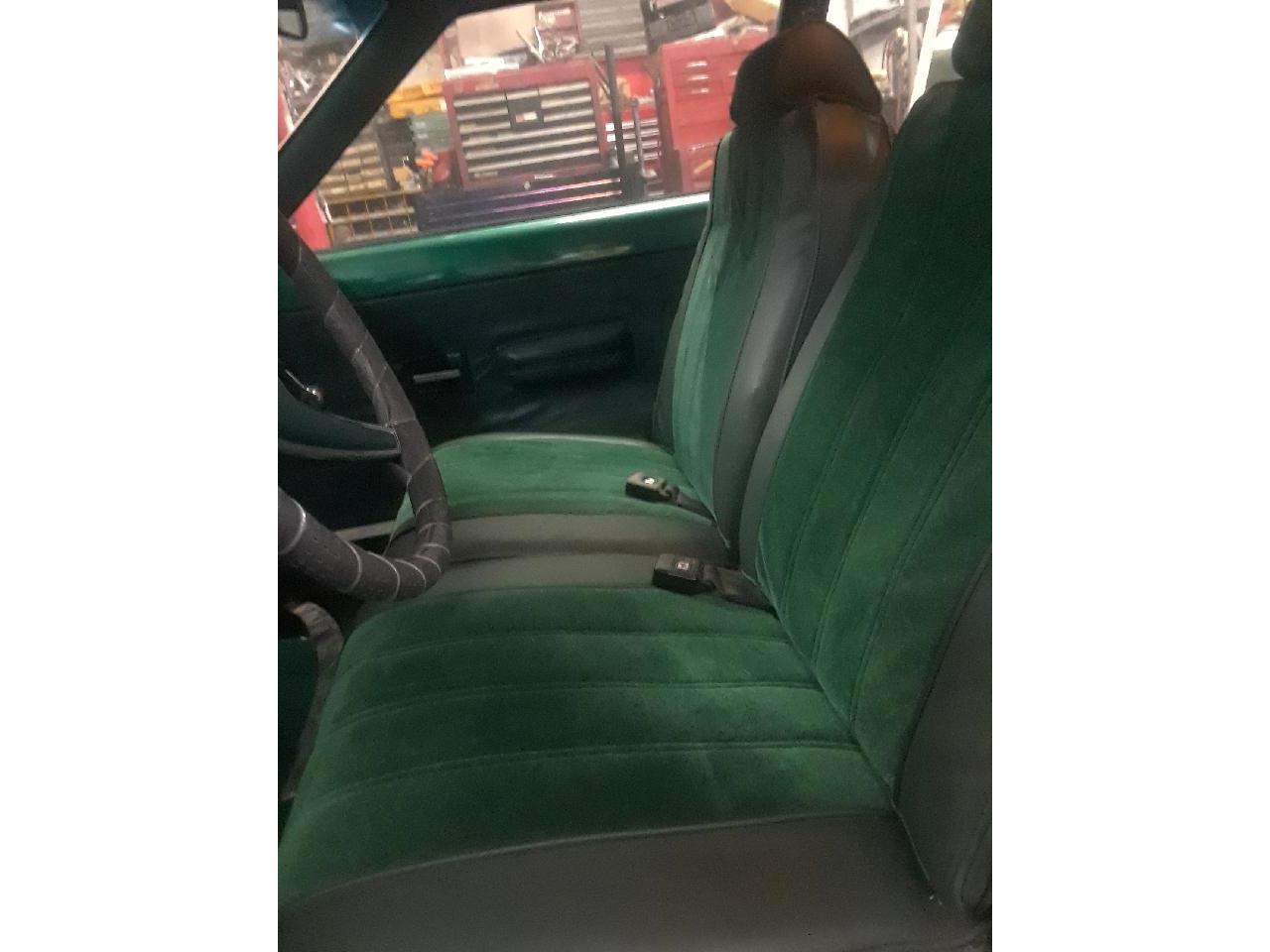 Amc-Hornet-1975-Kelly-Green-Light-Forest-Green-12
