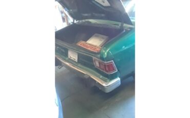 Amc-Hornet-1975-Kelly-Green-Light-Forest-Green-16