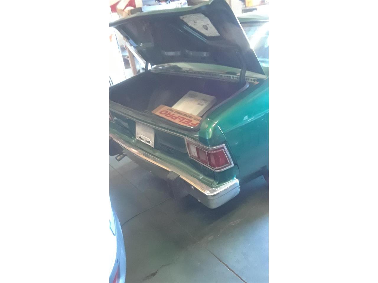 Amc-Hornet-1975-Kelly-Green-Light-Forest-Green-16