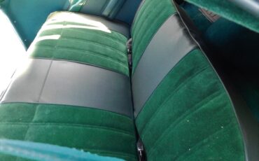 Amc-Hornet-1975-Kelly-Green-Light-Forest-Green-23