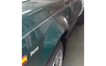 Amc-Hornet-1975-Kelly-Green-Light-Forest-Green-24