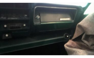 Amc-Hornet-1975-Kelly-Green-Light-Forest-Green