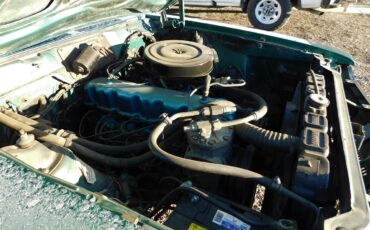 Amc-Hornet-1975-Kelly-Green-Light-Forest-Green-5