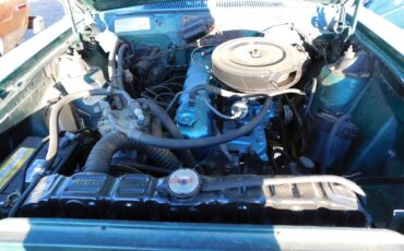 Amc-Hornet-1975-Kelly-Green-Light-Forest-Green-6