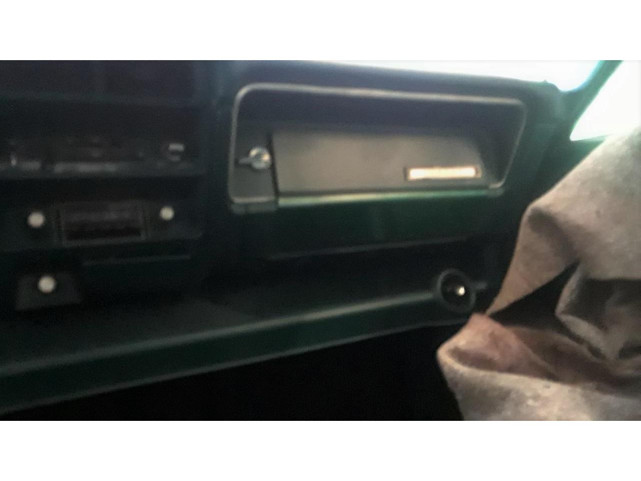 Amc-Hornet-1975-Kelly-Green-Light-Forest-Green