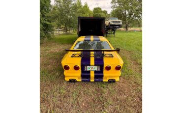 Amc-Matador-1974-Yellow-Grey-5