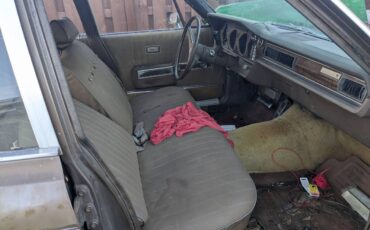 Amc-ambassador-1970-brown-4
