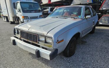 Amc-spirit-1980-silver-1