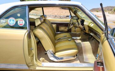 American-motors-Ambassador-1968-Scarab-Gold-Irid-Gold-Metallic-Cloth-19