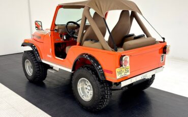 American-motors-Other-1979-Orange-Tan-1
