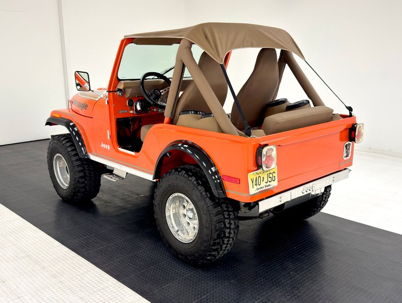 American-motors-Other-1979-Orange-Tan-1