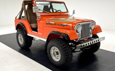 American-motors-Other-1979-Orange-Tan-10