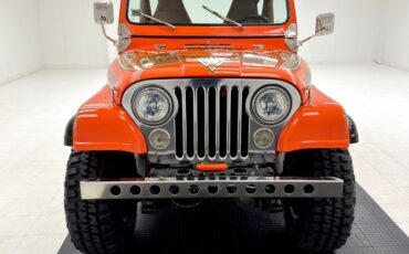 American-motors-Other-1979-Orange-Tan-11
