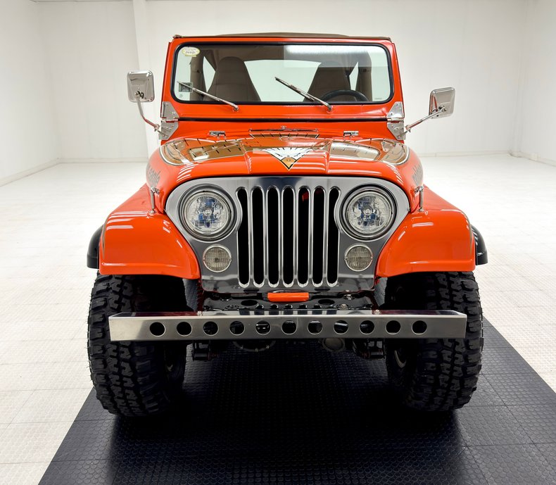 American-motors-Other-1979-Orange-Tan-11